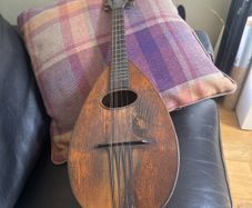 mandolin