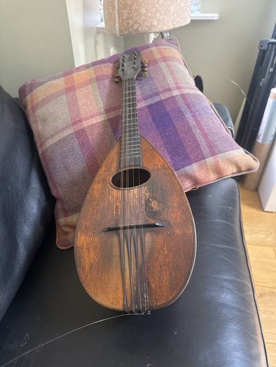 mandolin