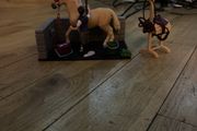 Schleich bath horse set