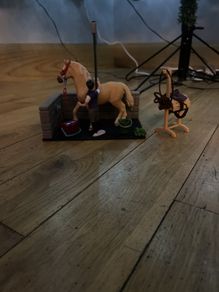 Schleich bath horse set