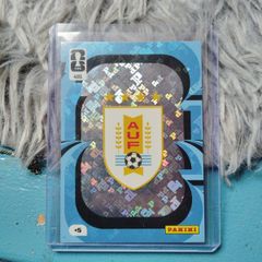 Argentinian panini football crest card