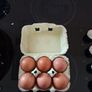 Free range eggs Image 3