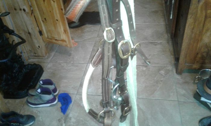 Bridle /bitless