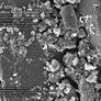Platinium Soil Powder Substrate 1l Image 6