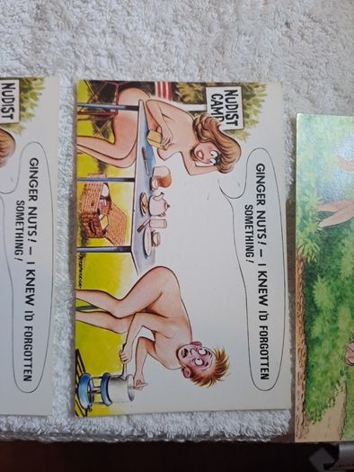 5 Bamforth nudist colony and snake charmer saucy postcards