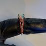 Natural Opal & Orange Sapphire ring silver 925 Image 3