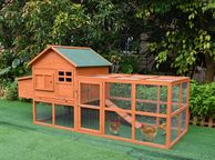 main image for ad Hen Hilton - 9 -12 Bird - Free delivery
