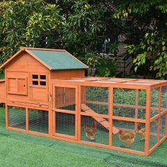 Hen Hilton - 9 -12 Bird - Free delivery