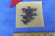 100 Countersink  Iron Rivets