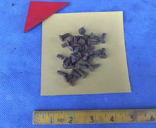100 Countersink  Iron Rivets