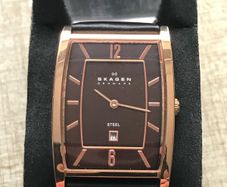 skagen watch