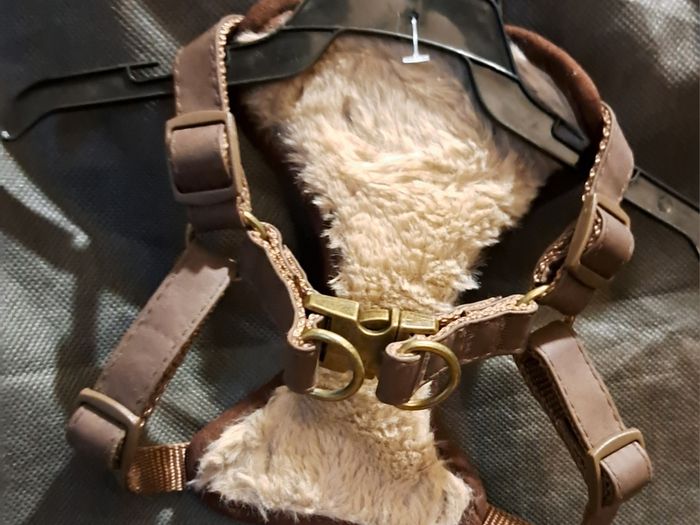 Sold as one lot Dog coats, Leeds, harnesses, dog carry bag, dog boots, 2 new lick matts other bits new stuff also