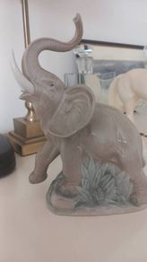 Nao Llado Elephant