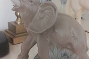 Nao Llado Elephant