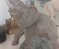 Nao Llado Elephant