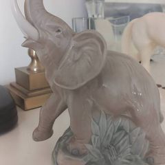 Nao Llado Elephant