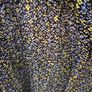 JIGSAW blouse Image 4