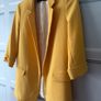 zara jacket Image 3