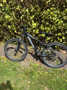 specialized