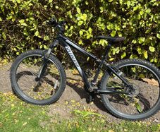 specialized