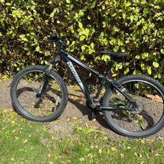 specialized