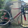 Specialized Allez Race Image 4