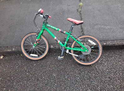 RALEIGH POP 18 bike 5 year old
