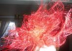 red fasatinor