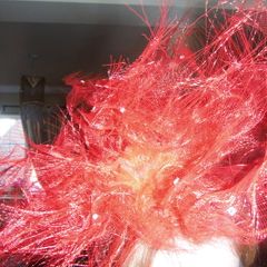red fasatinor