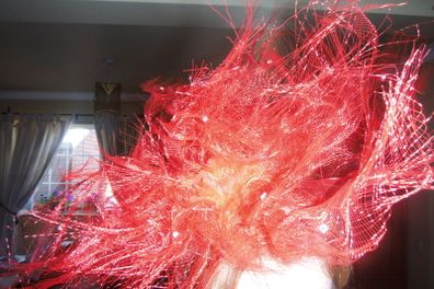 red fasatinor