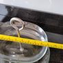 Two Tier Glass Serving Stand Image 4