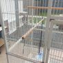 large mobile bird cage Image 6