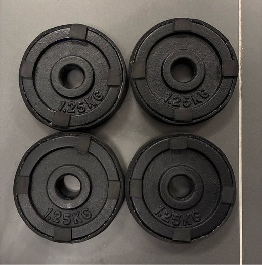 Set of 4 Cast Iron Weight Plates 1.25kg (5kg Total) with Edge Protectors