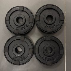 Set of 4 Cast Iron Weight Plates 1.25kg (5kg Total) with Edge Protectors