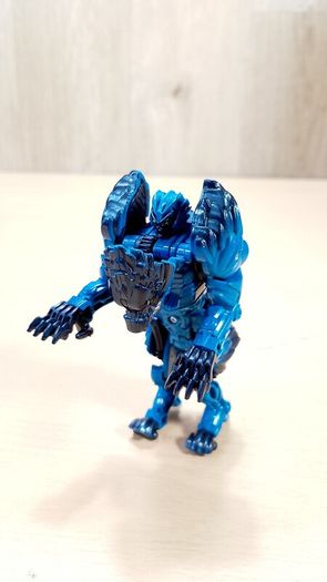 Tranformers Bundle
