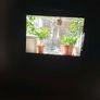 Minolta X-300 (Silver) - Serviced & Ready to Use Film Camera (body only) Image 2