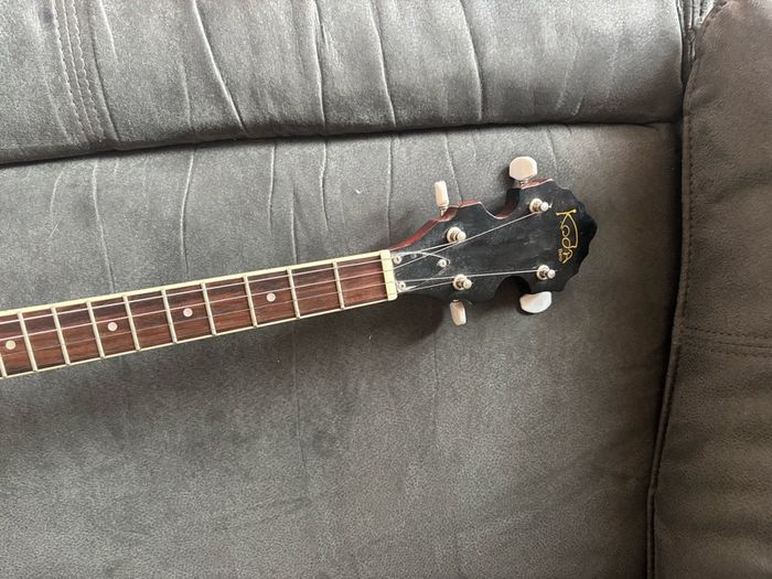 Tenor Banjo with plug in