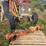 ZF APL 2052 international front axle Image 5