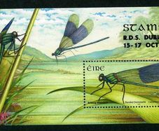 2010 Ireland Stampa Members Souvenir Dragonfly Commemorative Stamp Miniature Sheet Overprinted for Stampa Mint Never Hinged (MNH).