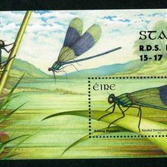 2010 Ireland Stampa Members Souvenir Dragonfly Commemorative Stamp Miniature Sheet Overprinted for Stampa Mint Never Hinged (MNH).