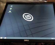 Dell 19-inch Screen P1917s