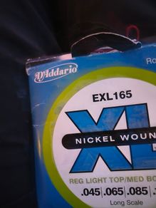 D addario exl 165( long scale)
