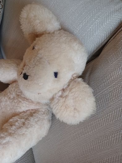 Vintage teddybear