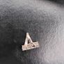Ring Image 2