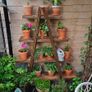 Rustic Wooden Ladder Plant Stand, Handmade Image 5