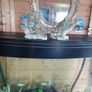Juwel Vision Tank + Stand 260 Litres Image 9