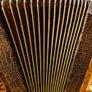 Koch D/D# Accordion for sale Image 3