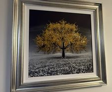 Framed Wall Art Yellow Blossom Tree