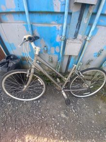 Giant bike frame