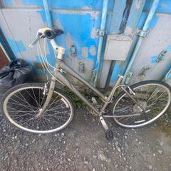 Giant bike frame
